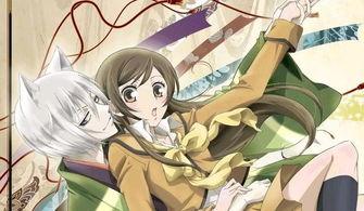 11k影院肉动漫在线,肉动漫盛宴，在线观看的极致体验